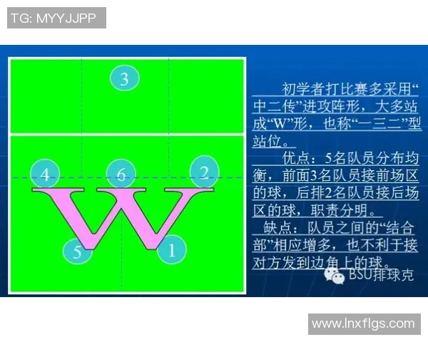 南京排球队中路突破的战术分析与发展前景探讨 南京排球队中路突破的战术分析与发展前景探讨