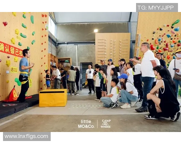 南京攀岩队在极限运动会中的技术表现分析与点评 南京攀岩队在极限运动会中的技术表现分析与点评